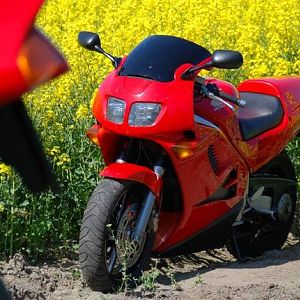 DSC_1201_Medium_
