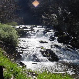 DSC000741