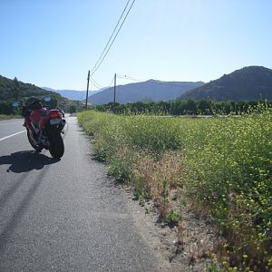 DSCN1296