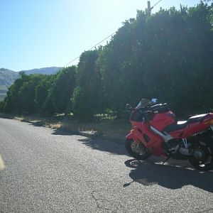 DSCN1300