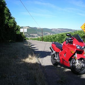 DSCN1301