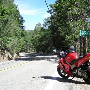 DSCN1311