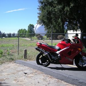 DSCN1314