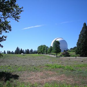 DSCN1316