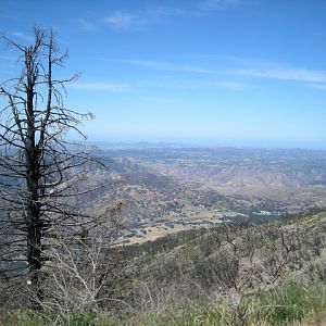 DSCN1326