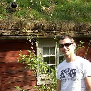 Stocholm park and Zoo