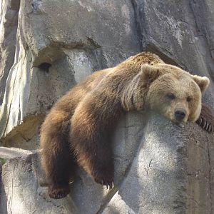 Stocholm Zoo