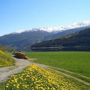 On the way Bergen-Oslo