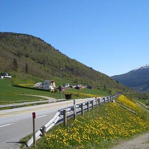 On the way Bergen-Oslo