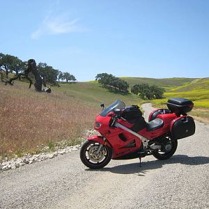 IMG_0557