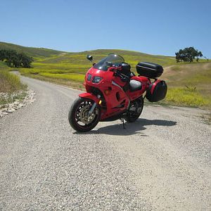 IMG_0558