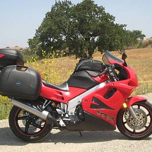 IMG_05621