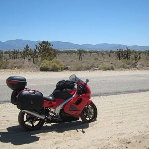 IMG_0576