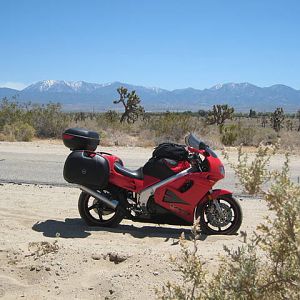 IMG_0578