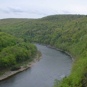 DSC01879
