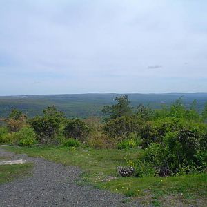 DSC01908