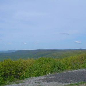 DSC01910