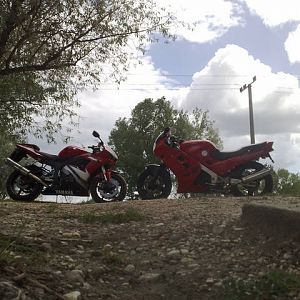 R6 and Rc24