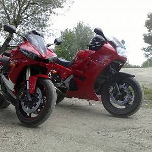 Two red friend