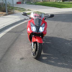 HID Headlights!