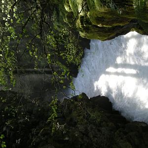 Rogue River