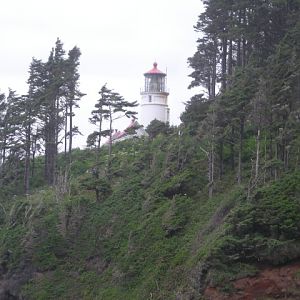 Heceta Head, Lighthouse (north of florence, OR)