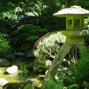 Japanese Garden