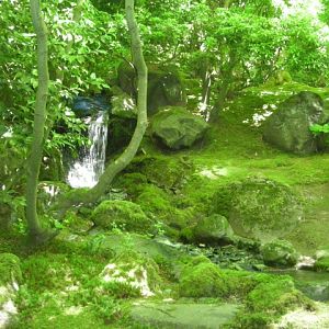Japanese Garden