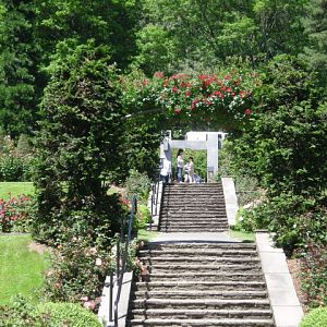 DSCN1681