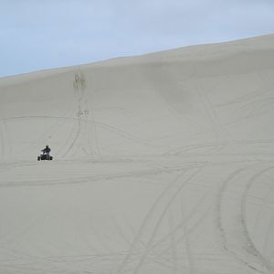 Oregon State Dunes, Florence, OR