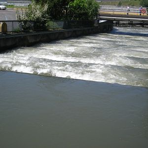 DSCN1607
