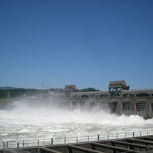 DSCN1608