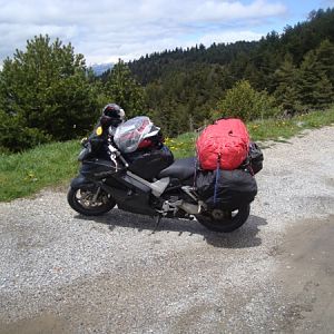 top of the pyrennes