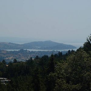 DSCF00331