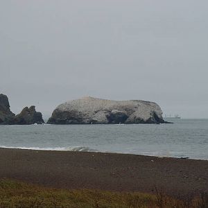 DSCF00532