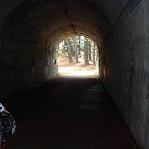 DSCF00591