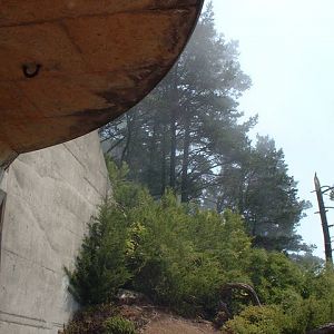 DSCF00642