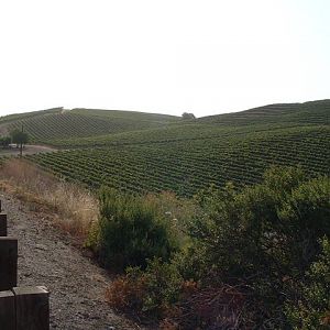 DSCF00781