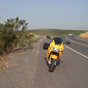 DSCF0079