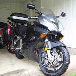 The day I brought it home.