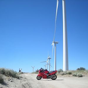 DSCN1768