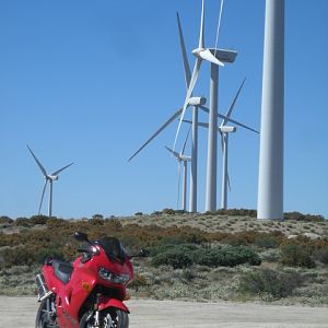 DSCN1775