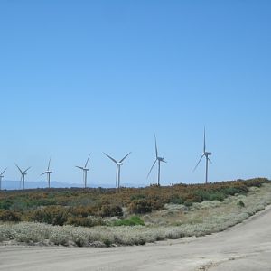 DSCN1782