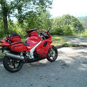 Picture_0261