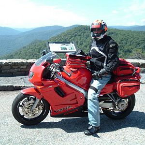 Picture_102