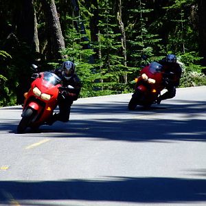 Reg & RW Railing in the PNW