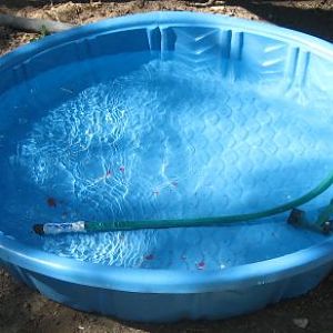bathtub