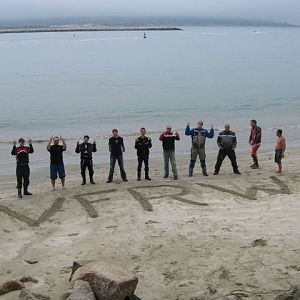 aaa_vfrbeach_bird_shot