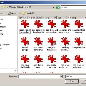 choosing a file to upload