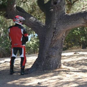 Jason waring the tree......Going green baby
